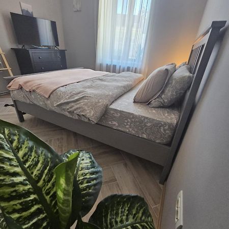 Zig Zag Apartment 4- Old Town コンスタンツァ エクステリア 写真