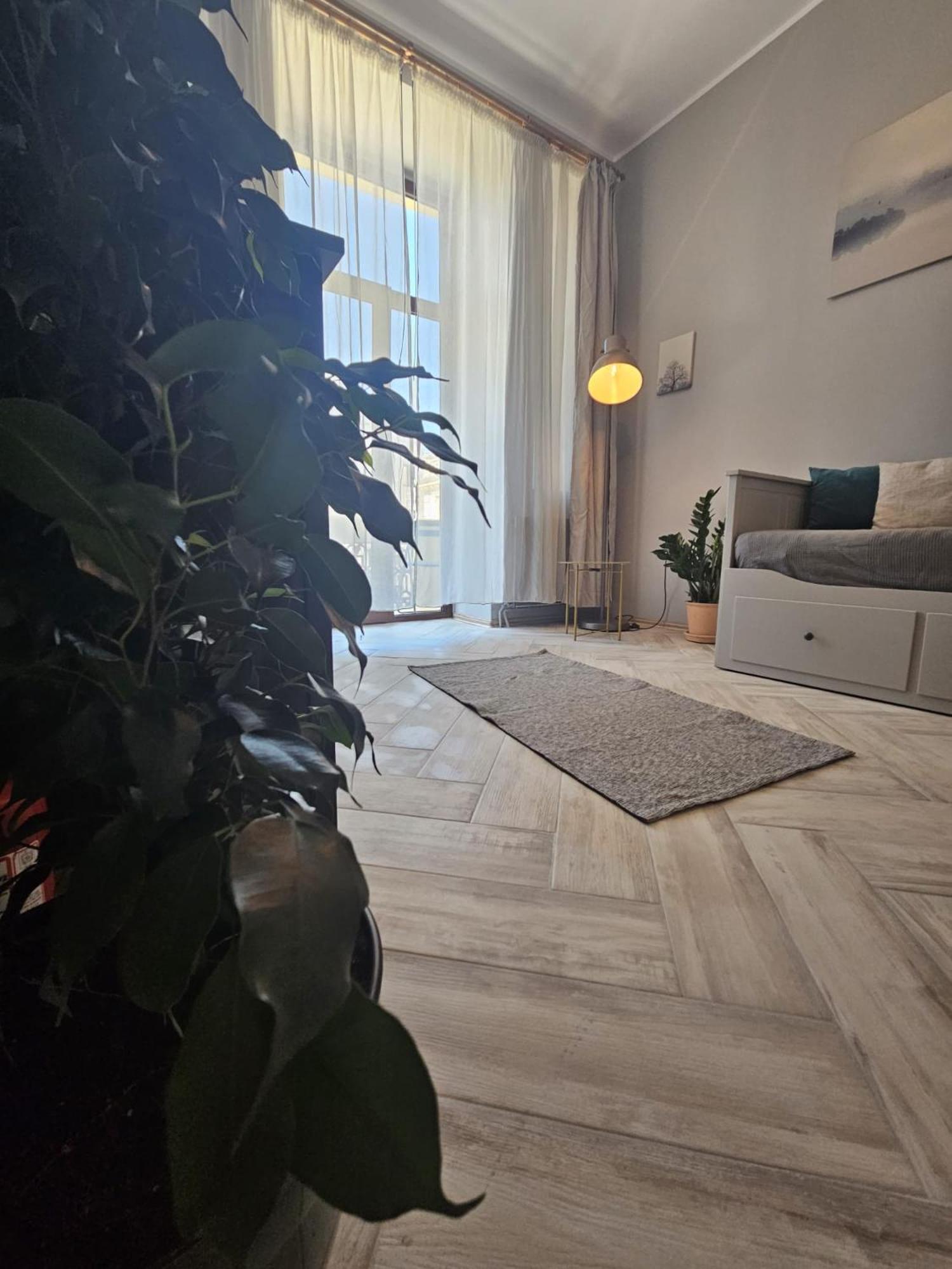 Zig Zag Apartment 4- Old Town コンスタンツァ エクステリア 写真